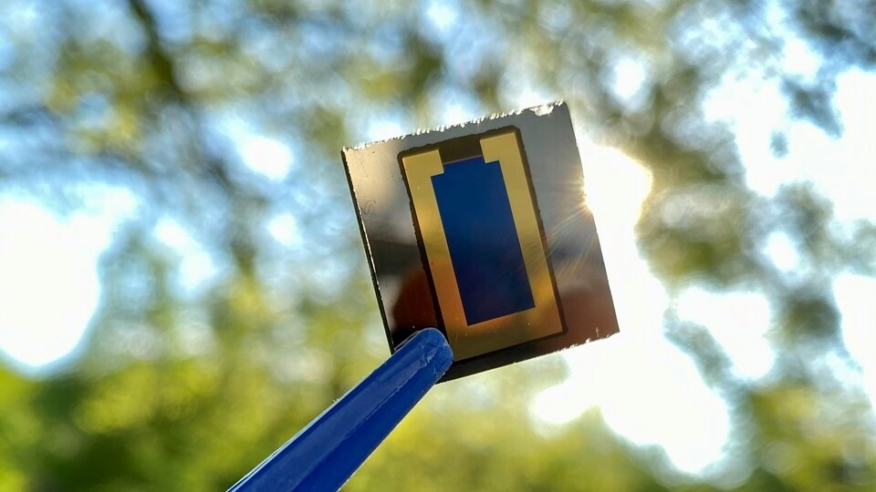 Foto von Perowskit/CIS-Tandem-Solarzellen